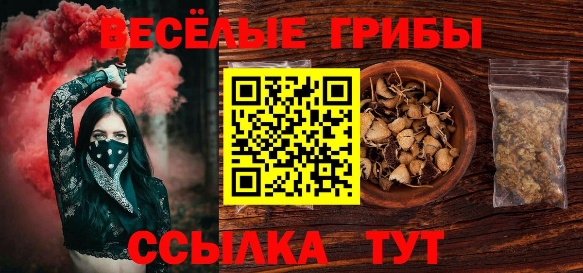 Галлюциногенные грибы мухоморы  Галлюциногенные грибы ЛСД  Вход с VPN  Богородск 